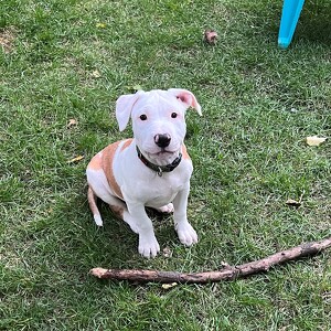 Robin Steele and Aluna